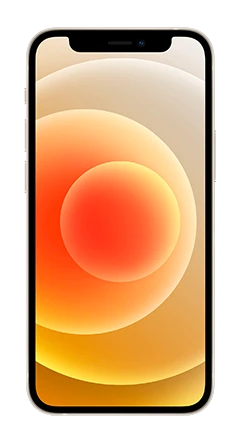 Apple iPhone 12 Mini 1