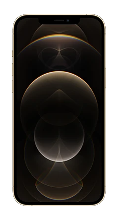 Apple iPhone 12 Pro Max 1