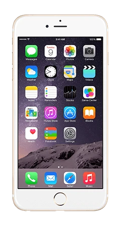 Apple iPhone 6 Plus 1