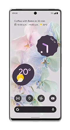 Google Pixel 6 Pro 1
