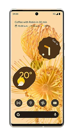 Google Pixel 6 Pro 1