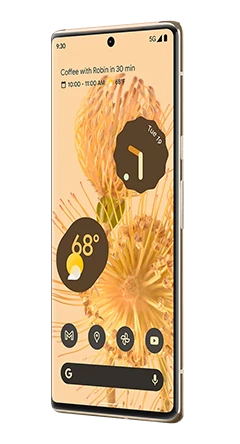 Google Pixel 6 Pro 4