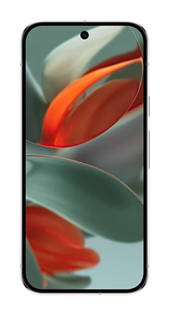 Google Pixel 9 Pro 1