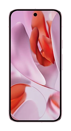 Google Pixel 9 Pro 1