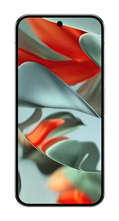 Google Pixel 9 Pro XL 1