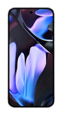 Google Pixel 9 Pro XL 1