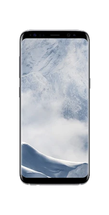 Samsung Galaxy S8 1
