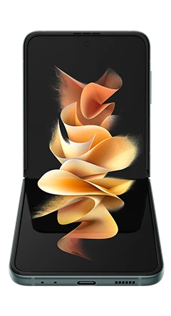 Samsung Galaxy Z Flip 3 1