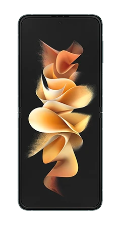 Samsung Galaxy Z Flip 3 2